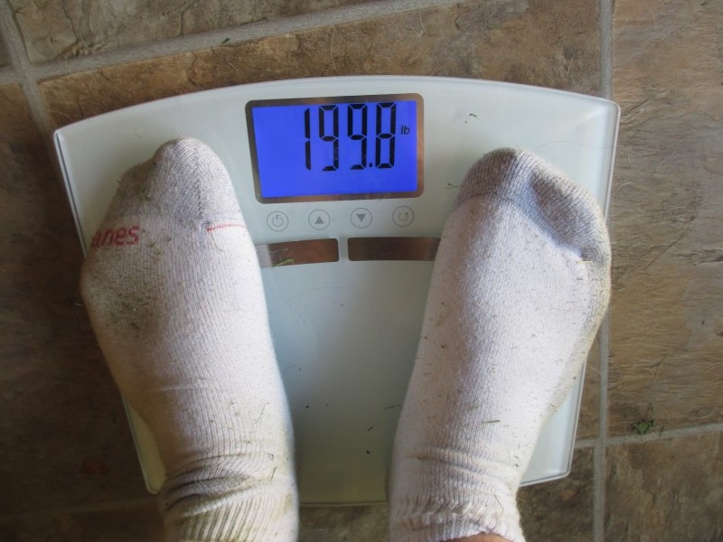 Nutrisystem scale victory