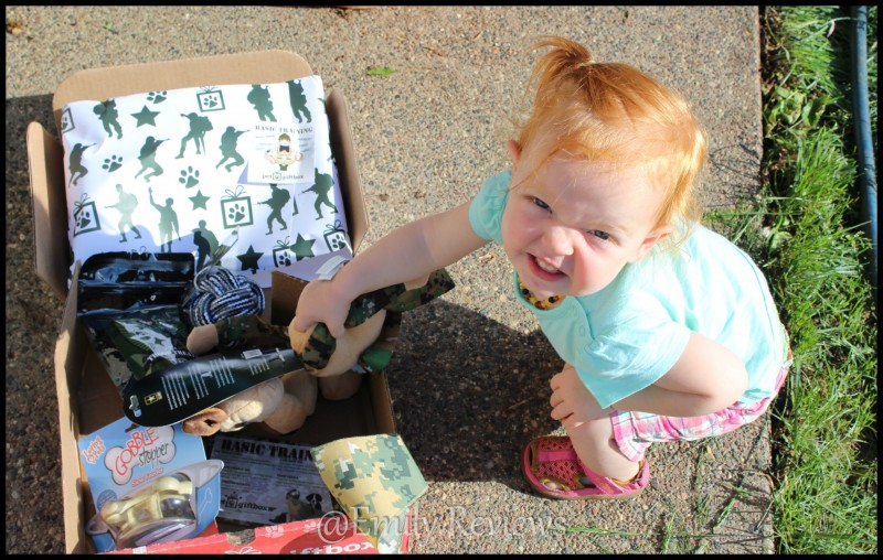 PetGiftBox.com ~ The Perfect Present For Your Pets & The Story Of Angel + Discount