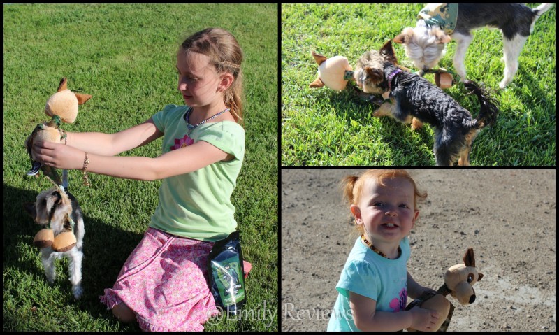 PetGiftBox.com ~ The Perfect Present For Your Pets & The Story Of Angel + Discount