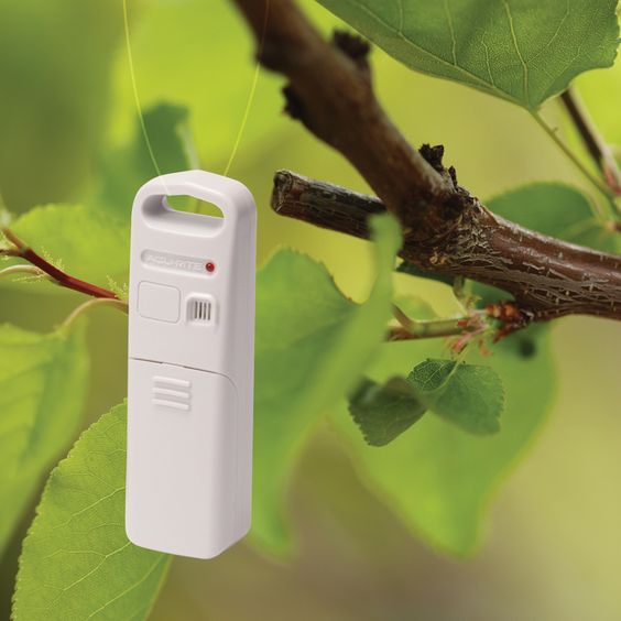 AcuRite Rain Gauge with Indoor/Outdoor Temperature