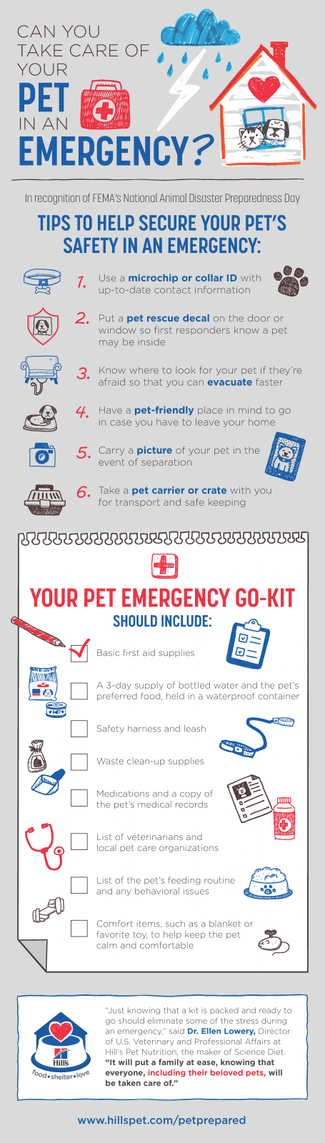 pet emergency go kit