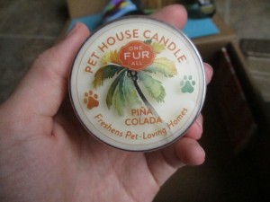 pet house candle