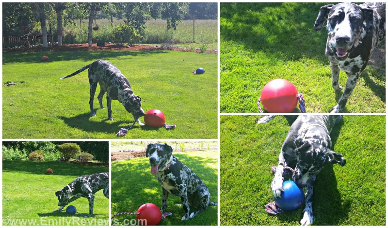 2PicMonkey Collage
