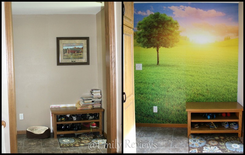MyLoview ~Early Morning On The Green Summer Meadow Wall Sticker Mural~ Before and AfterMyLovie Results