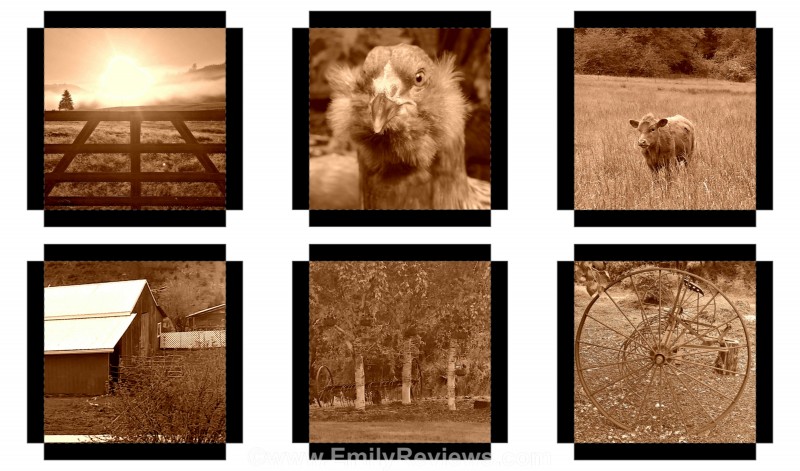 PROOFS Collage