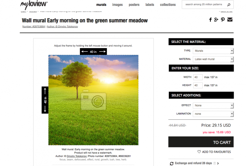 MyLoview ~Early Morning On The Green Summer Meadow Wall Sticker Mural~ 