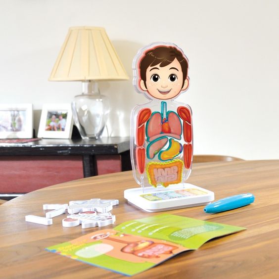 Oregon Scientific s Smart Anatomy Interactive Human Body Emily Reviews