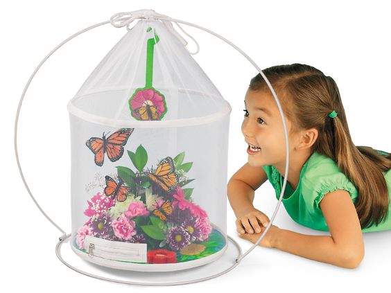 Lakeshore Learnings The Butterfly Nursery