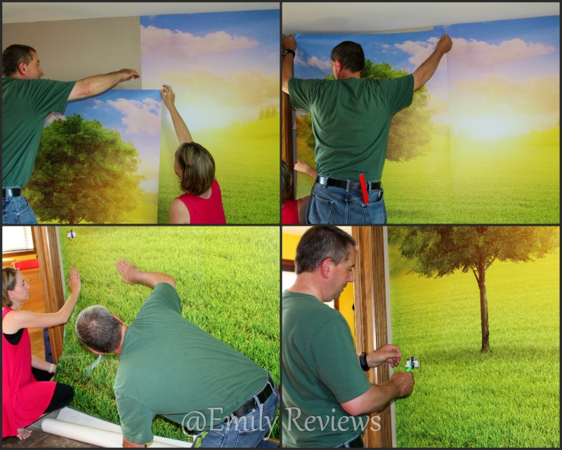 Early Morning On The Green Summer Meadow Wall Sticker Mural from MyLoview