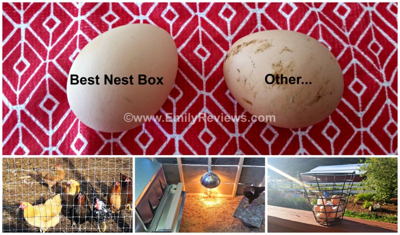 Best Nest Box 2PicMonkey Collage