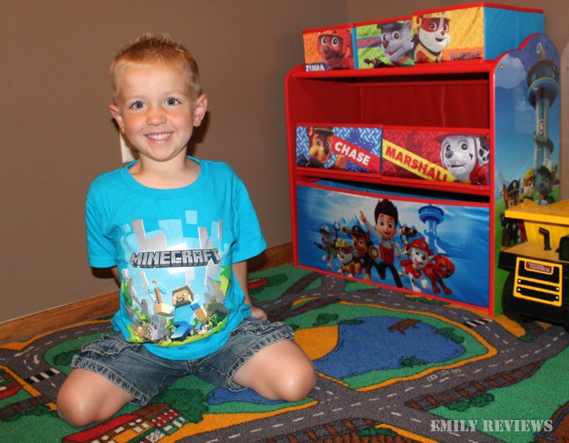 Delta Children PAW Patrol Multi-Bin Toy Organizer