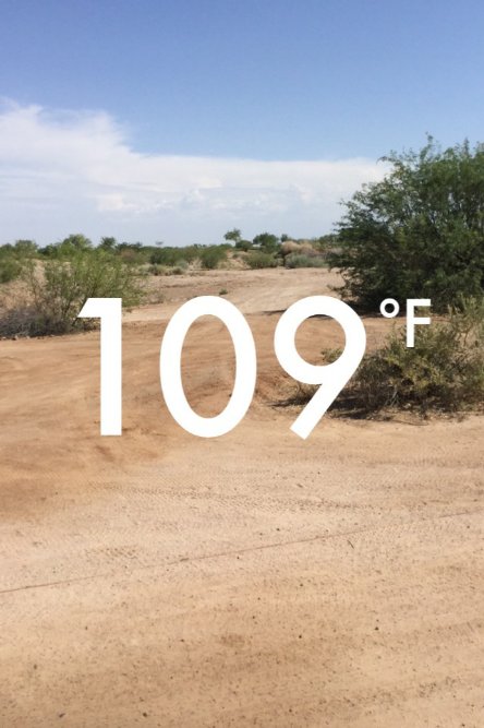 phoenix at 8am