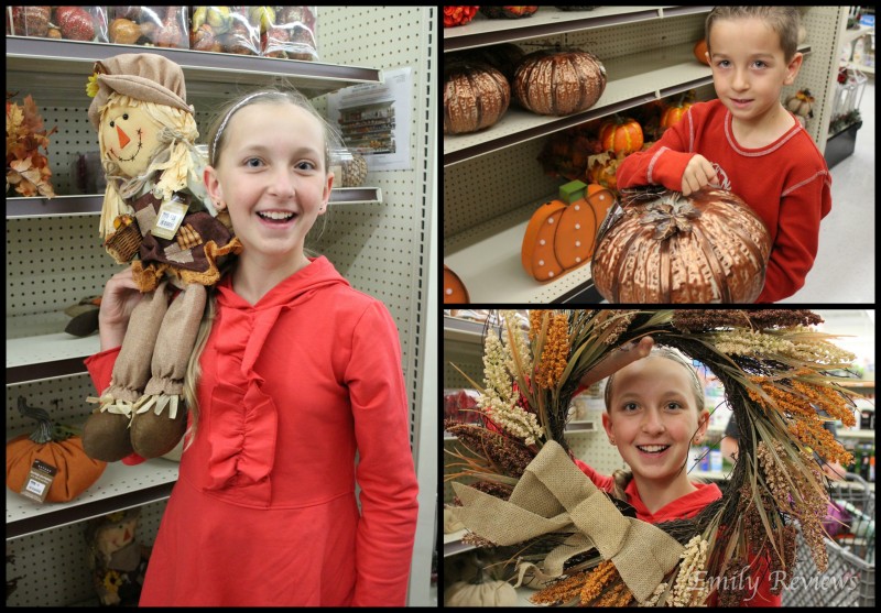 Big Lots ~ Finding Fall Decor For My Home {Review}