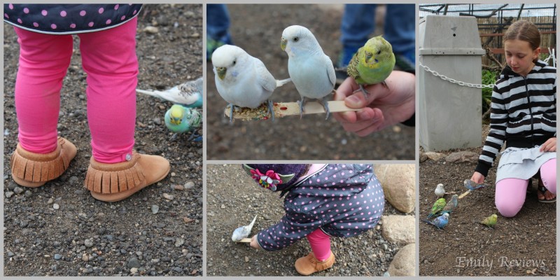 An Impromptu Day At The Zoo {With Freshly Picked Moccasins Review} Zion (made from the popular Utah leather) & Santa Fe (gorgeous brown with boho blue backs!)