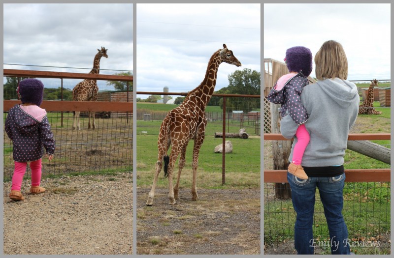 An Impromptu Day At The Zoo {With Freshly Picked Moccasins Review} Zion (made from the popular Utah leather) & Santa Fe (gorgeous brown with boho blue backs!)