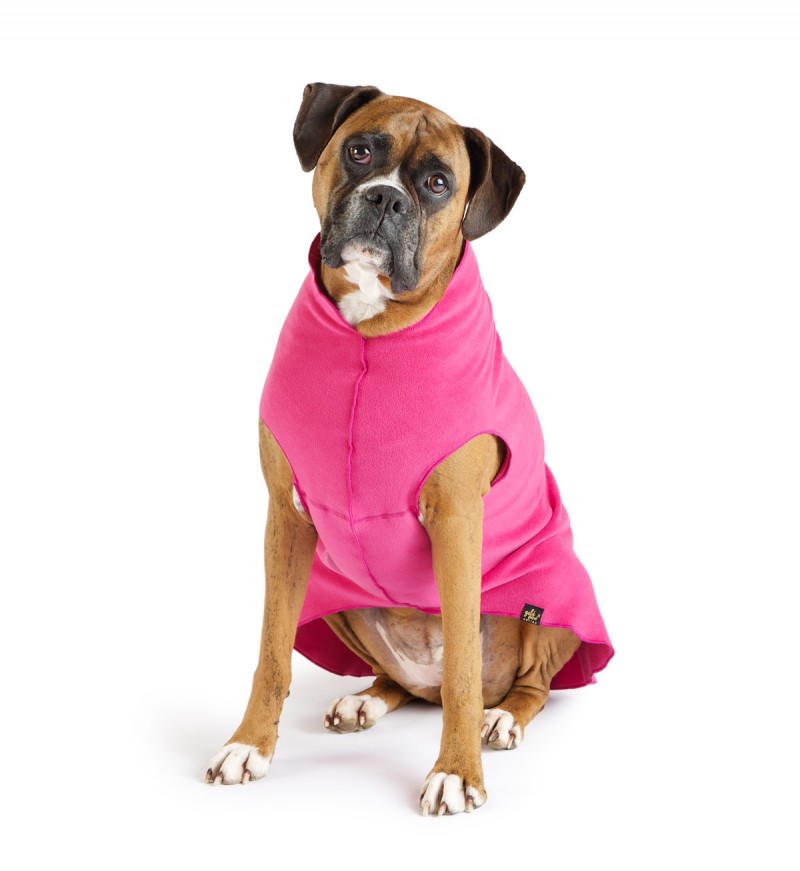 Gold Paw Series Fleece Dog Jacket