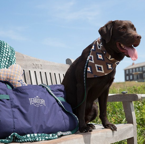 Original Territory Travel Blanket in a bag