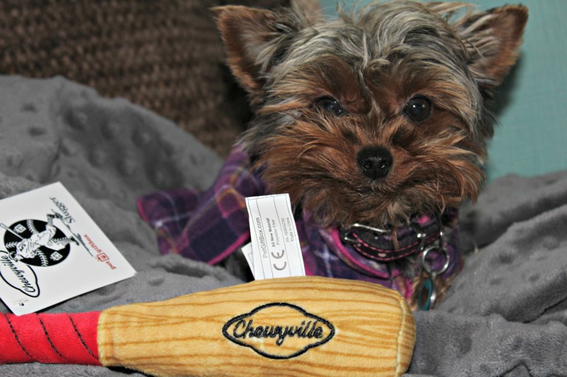 Pet Gift Box ~ October Home Run Monthly Doggie Subscription + Discount