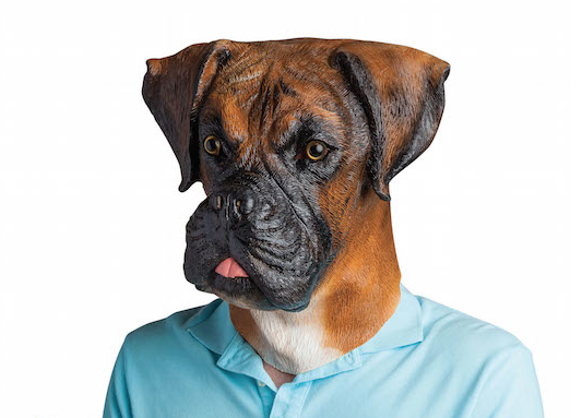 Big Mouth Inc. ~ Creative Line Of Fun Products For Everyone On Your List! ~ Barry The Boxer Realistic Dog Mask