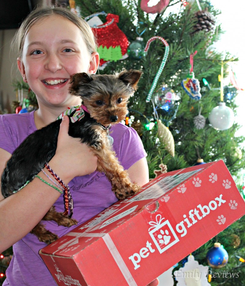 Pet Gift Box ~Christmas Gift For Your Pets~ + 50% Discount For Your Very First Box!