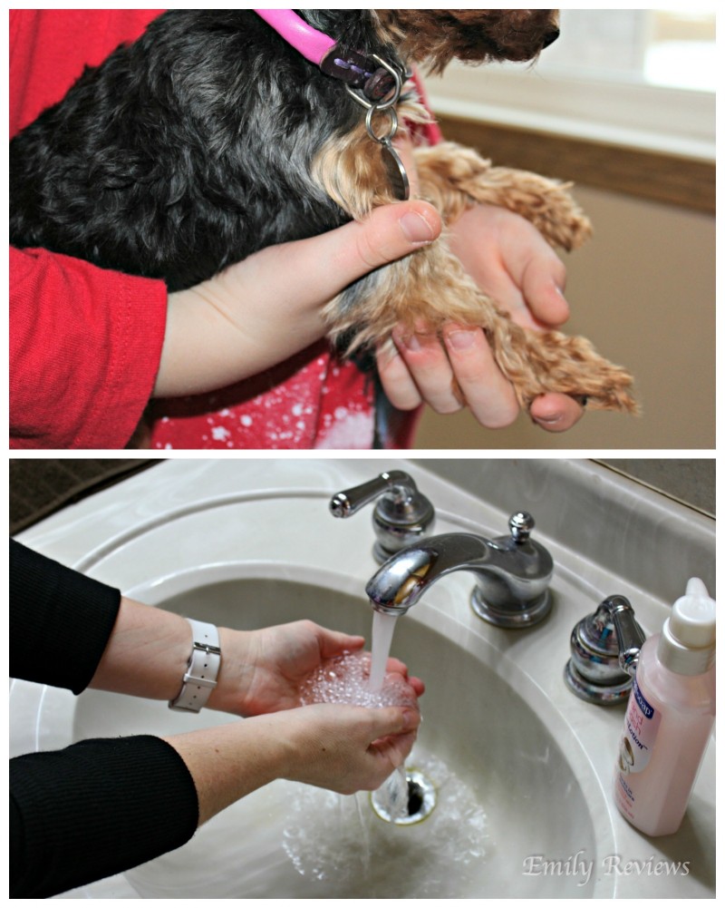 Softsoap ~ Give Your Hands The Care They Deserve With the NEW! Softsoap Hand Wash Plus Lotion
