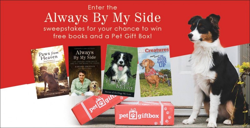 Pet Gift Box Review, Discount, & Giveaway