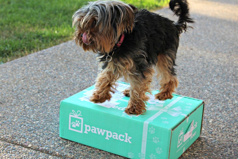 PawPack Dog Gift Box