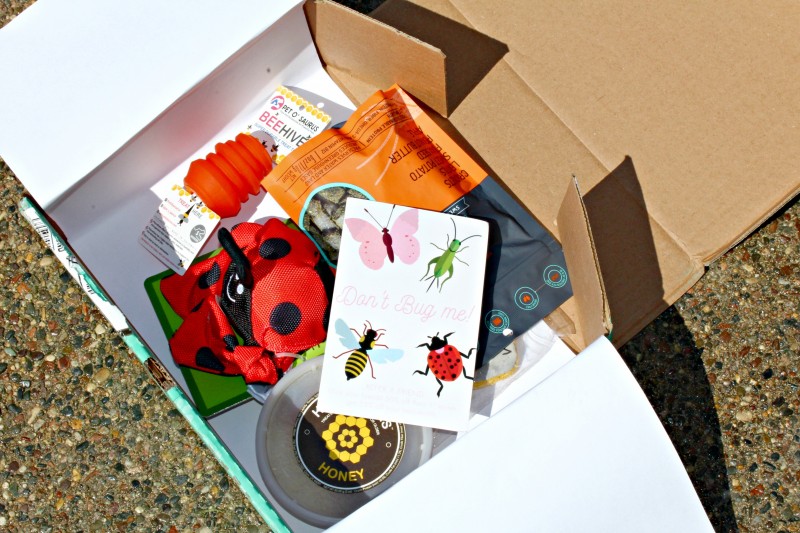 PawPack Dog Subscription Box