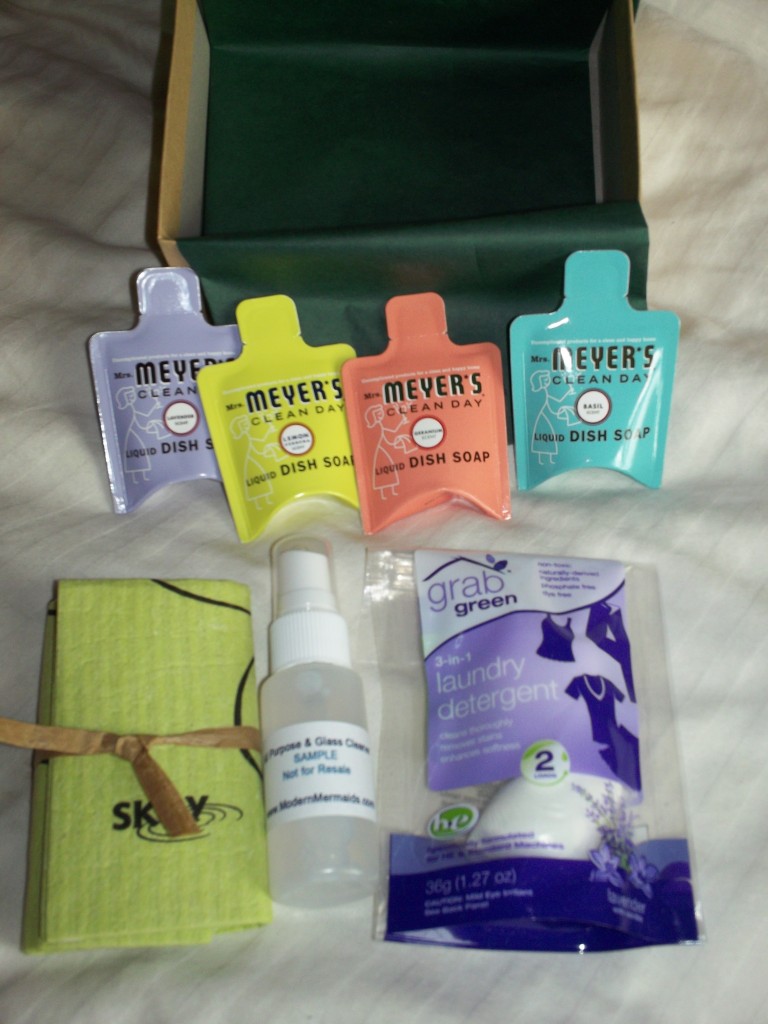 Little Cleaning Box | Emily Reviews