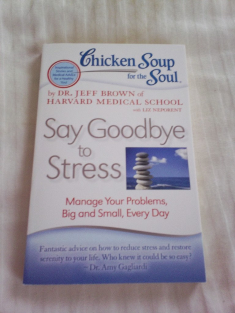 Chicken Soup for the Soul "Say Goodbye to Stress" Book Emily Reviews