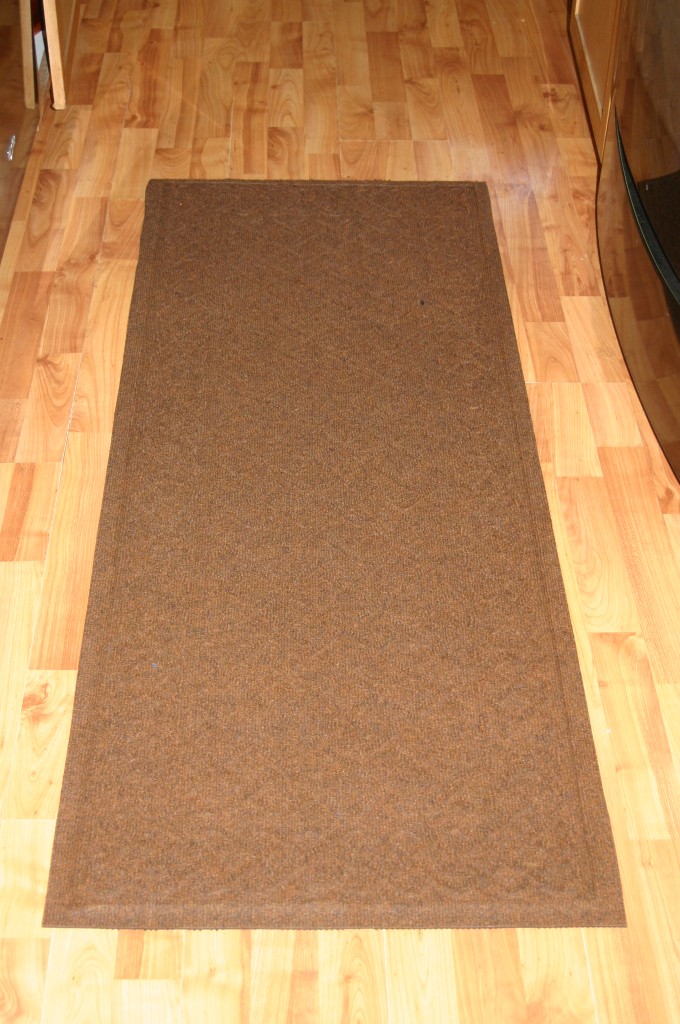 Problem Solvers Waterhog Review Emily Reviews