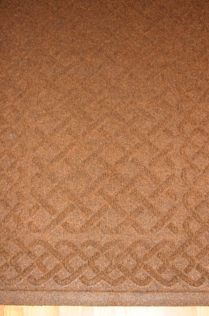 Problem Solvers Waterhog Review Emily Reviews