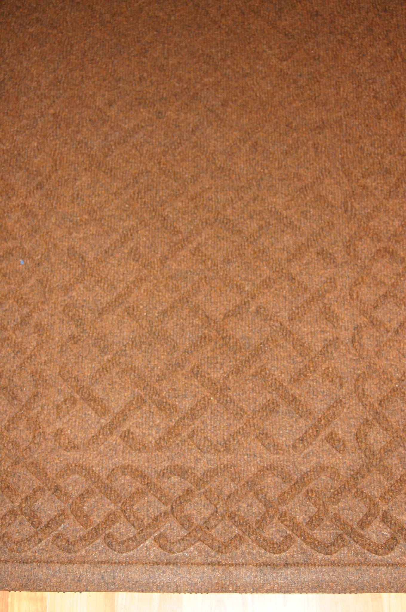 Problem Solvers Waterhog Review Emily Reviews