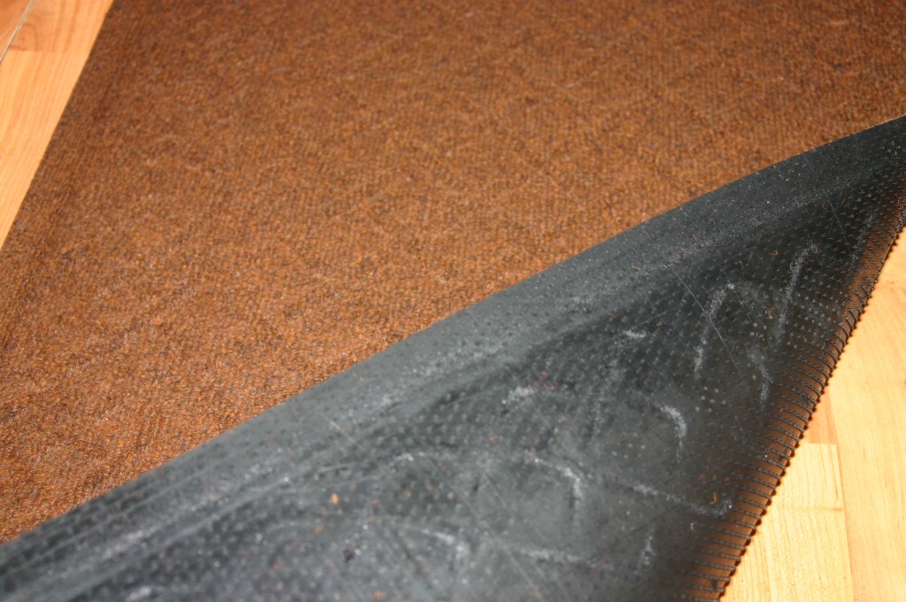 Problem Solvers Waterhog Review Emily Reviews