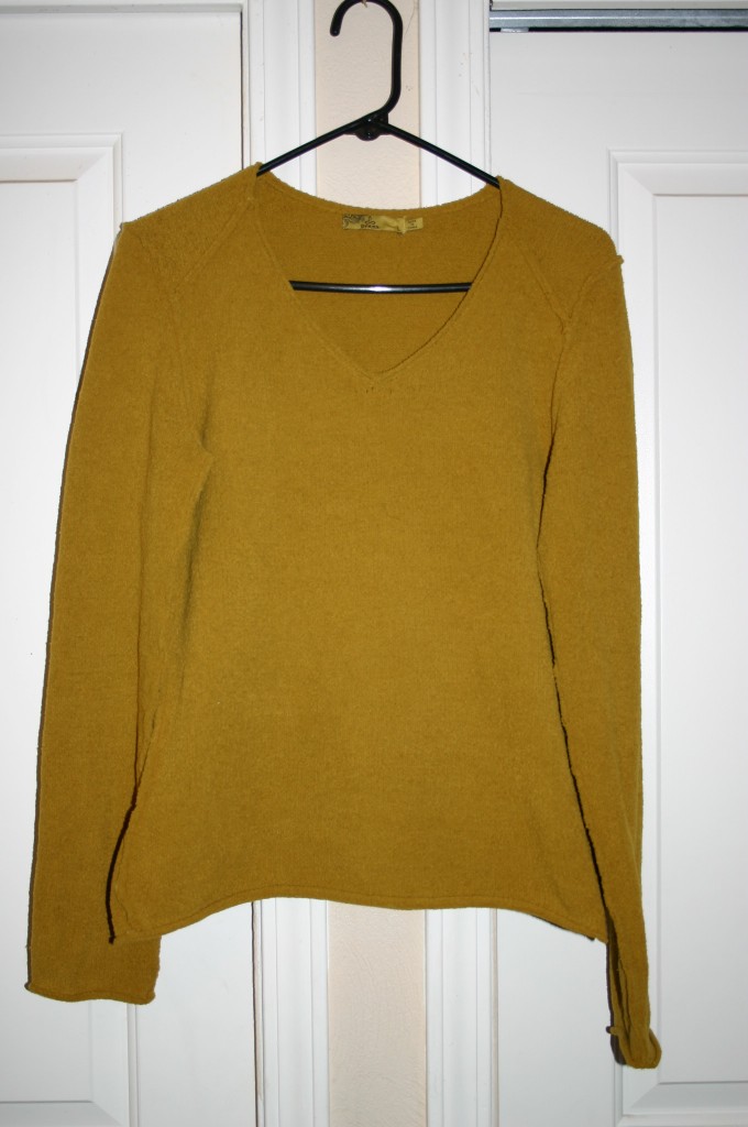 prAna Sweater Review | Emily Reviews