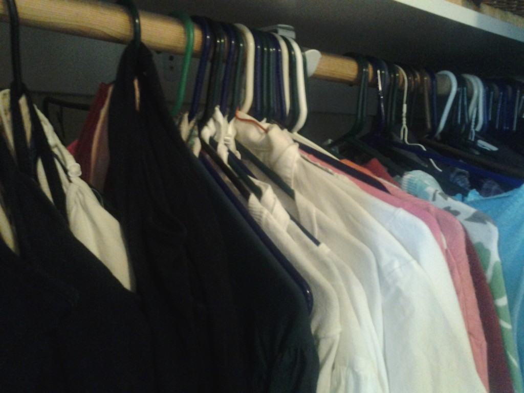 Only Hangers Emily Reviews