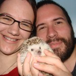 Raising Hedgehogs – What You Should Know Before You Get A Hedgehog