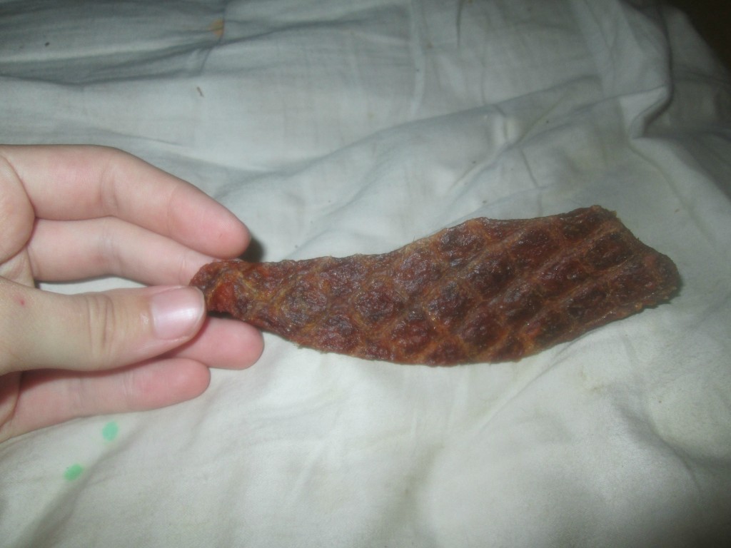 Mojo Pet Online Pet Store Gifts For Pets Review & Giveaway (11/24