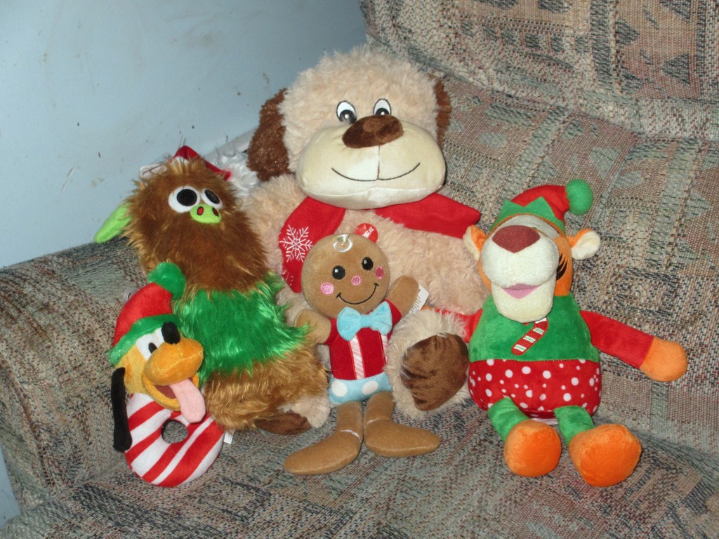 Petsmart Pet Clothing & Toys for Christmas Emily Reviews