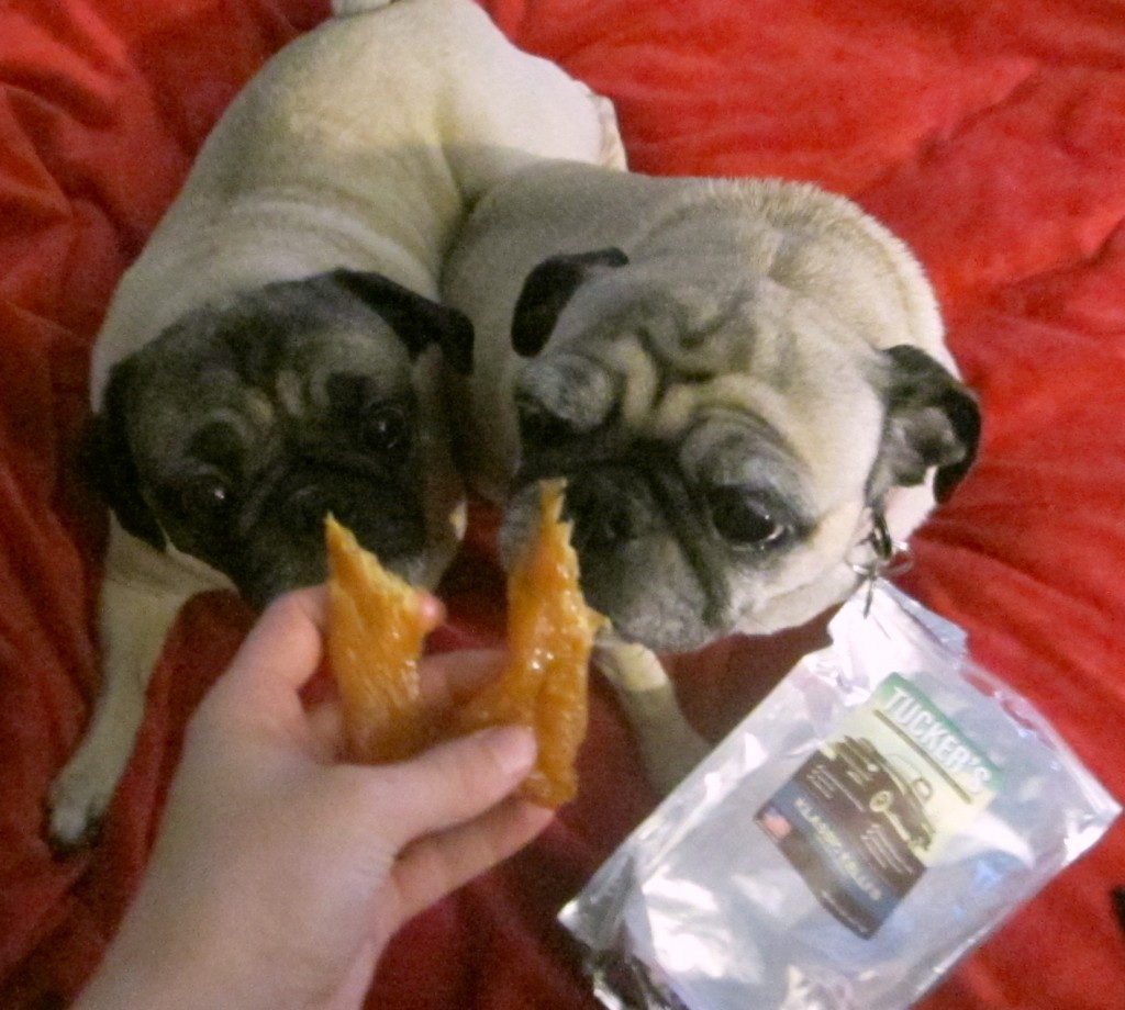 USA Sourced Chicken Breast Dog Treats from Natural Pet Warehouse Review