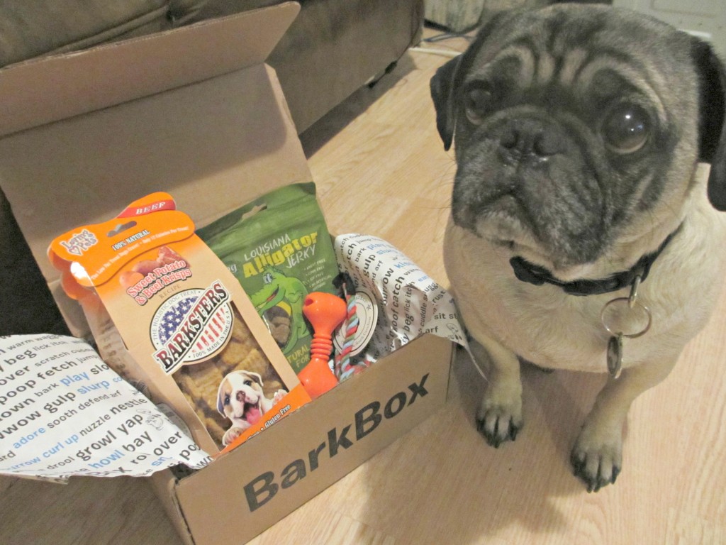 January BarkBox For Small Dogs Review Emily Reviews
