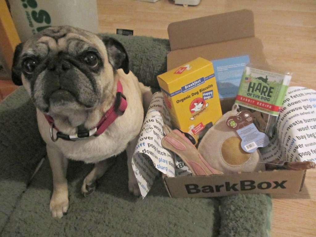Barkbox Review Small Dog March Box Emily Reviews