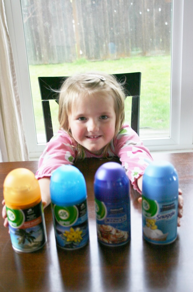 Air Wick Familiar Favorite & National Park scents Review Emily Reviews