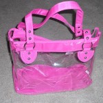 Clear Handbags, Fashionable Clear Bags Review