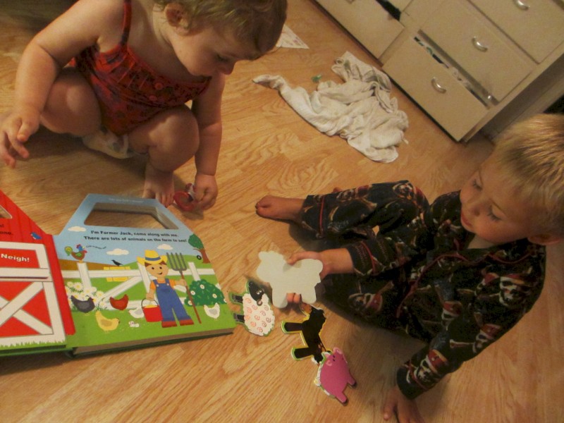 silver dolphin pretend and play book review