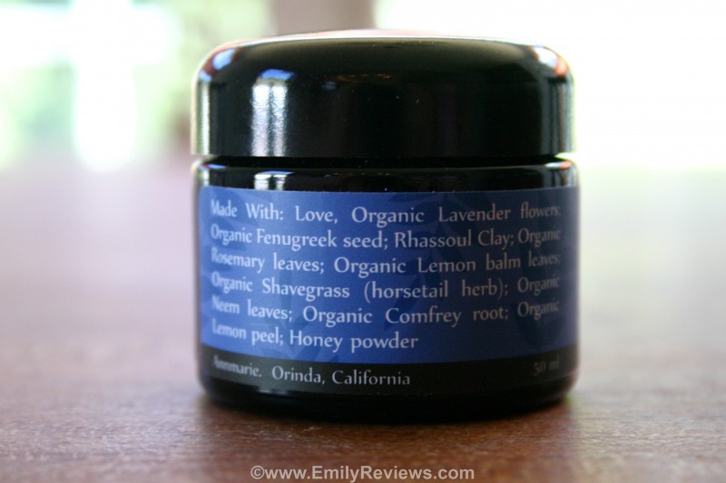 Ayurvedic Facial Scrub From Annmarie Gianni Review Emily Reviews