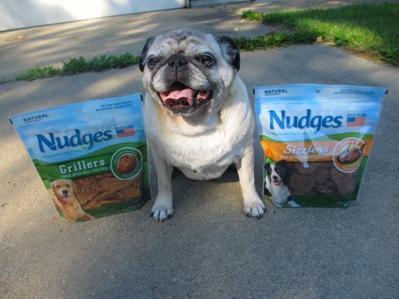 nudges dog treats made in the usa
