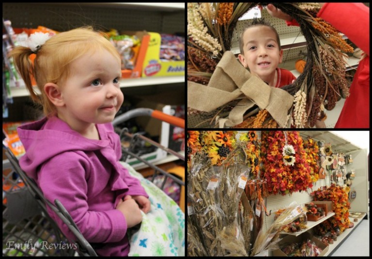 Big Lots Finding Fall Decor For My Home {Review} Emily Reviews