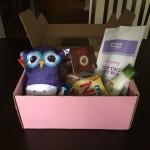 The PMS Package – Subscription Box Review October 2016