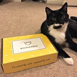 WhiskerBox Cat Subscription Box Review + Promo Code & Giveaway (11/19)